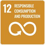 SDG 12 Responsible Consumption and Production